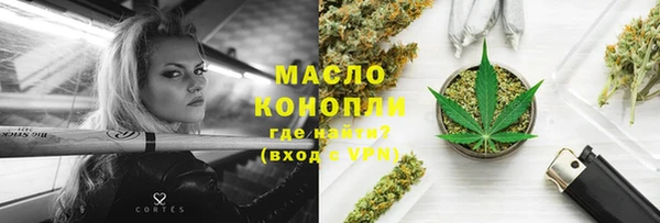 сатива Магас