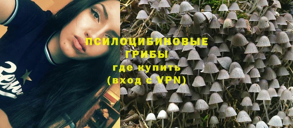 a pvp Алексин