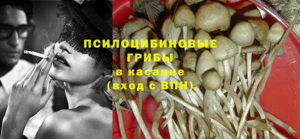 гашик Алзамай