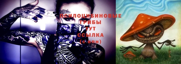 ешки Абинск